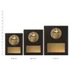 Academic Challenge Plaques next to ruler