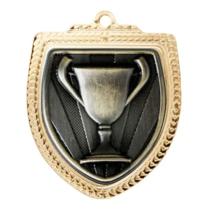gold shield medal - achievement with iron construction