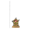 American Football Argo trophy next to ruler