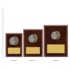 Archery Peak Plaques next to ruler