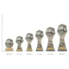 Computers Gladiator Series trophies next to ruler