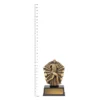 Cosmos Super Mini - Male Running trophy next to ruler