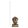 Football Cosmos Super Mini trophy next to ruler