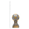 Football Salvo trophy next to ruler