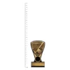 Hockey Nova Mini trophy next to ruler