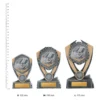 Knowledge Hero Series trophies next to ruler