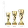 Lacrosse Carnival Cup trophies next to ruler