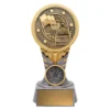 Silver / gold ikon - lifesaving with resin construction