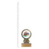 Literature Aster trophy next to ruler