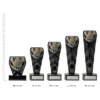 Maths Black Cobra trophies next to ruler
