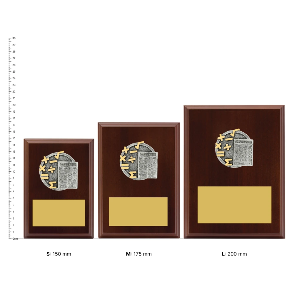 Maths Peak Plaques next to ruler