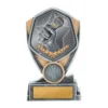 Silver / gold hero series-public speaking with res / ilient construction