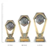 Public Speaking Hex Tower trophies next to ruler