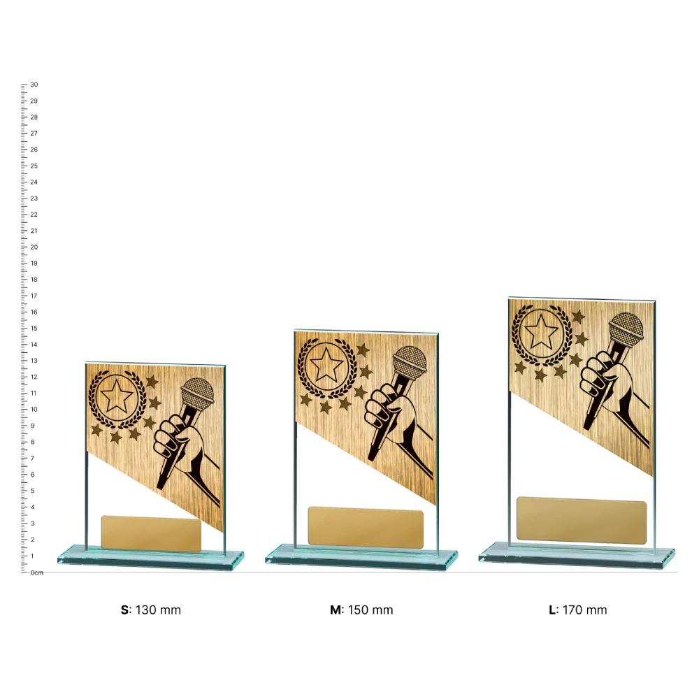 Public Speaking Theme on Glass trophies next to ruler