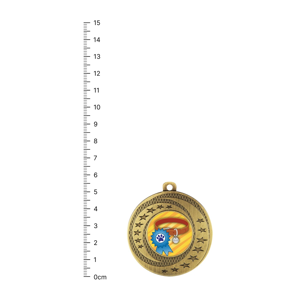 Ribbon & Collar Wayfare gold next to ruler