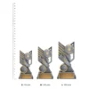 Football Rogue Series trophies next to ruler