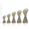 Rugby Fortis trophies next to ruler