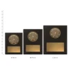 Science Challenge Plaque trophies next to ruler