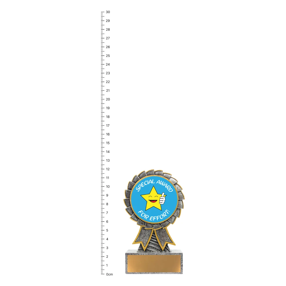 Special Award Aster trophy next to ruler