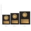 Spelling Bee Challenge Plaques next to trophies