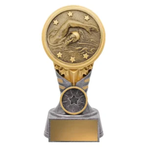 Silver / gold ikon - swim with resin construction
