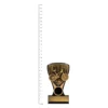 Trail Bike Nova Mini trophy next to ruler