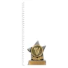 Victory Argo trophy next to ruler