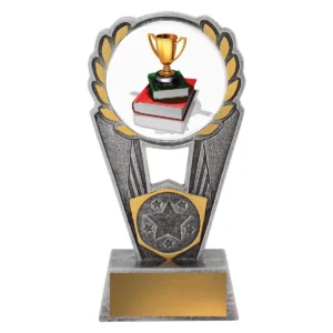 Silver academic polaris - colour with resin construction
