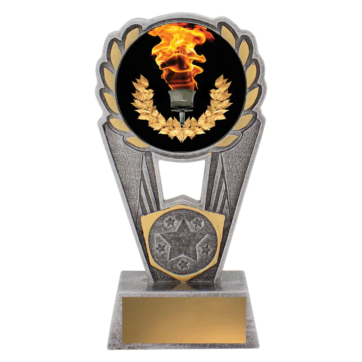 Silver achievement polaris - colour with resin construction