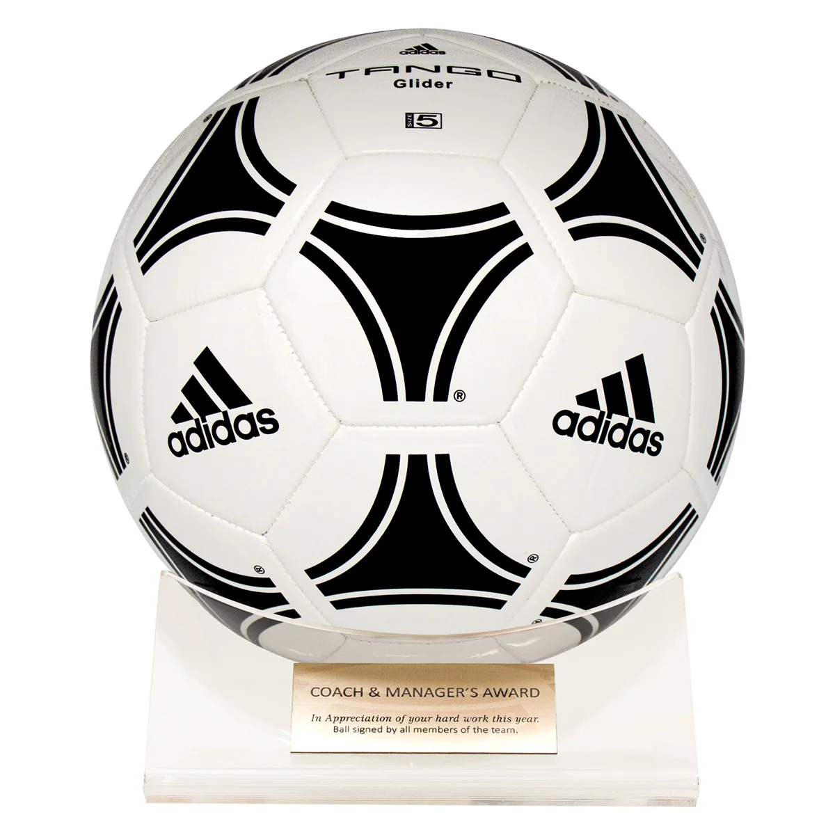 Acrylic ball holder with acrylic construction