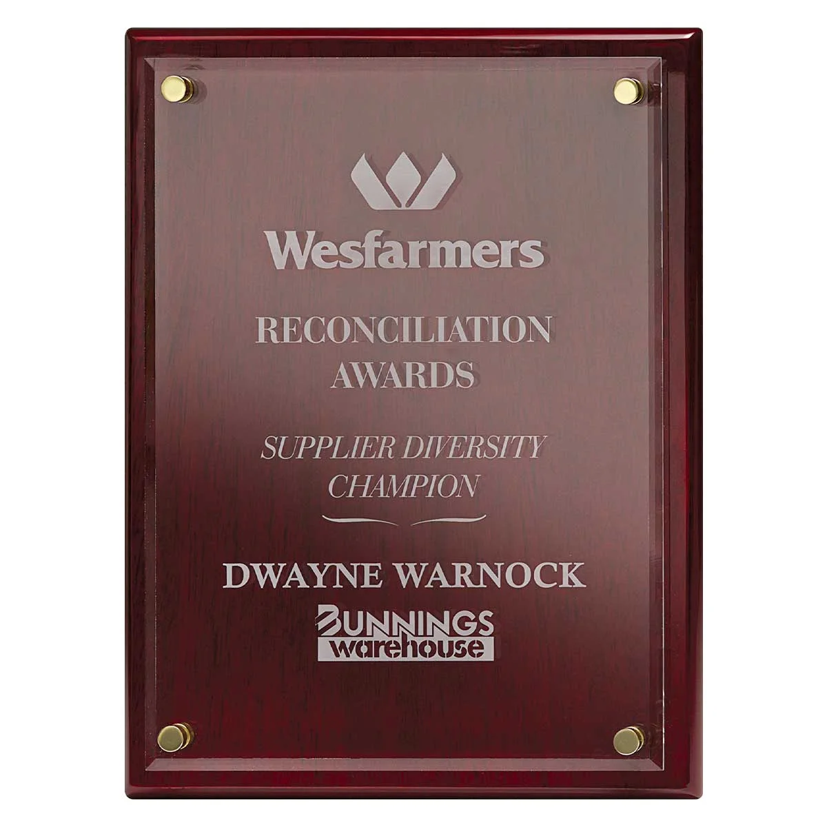 Rosewood advantage acrylic with acrylic construction