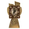 Gold antique gold lynx - male rugby with resin construction
