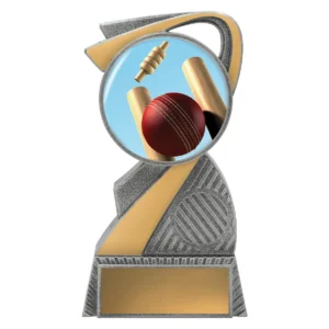 Silver arclight colour - cricket with plastic construction