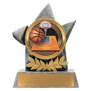 Silver argo - basketball with resin construction