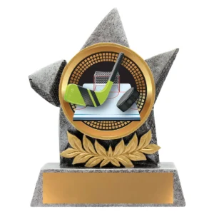 Silver argo - ice hockey with resin construction