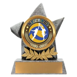 Silver argo - netball with resin construction
