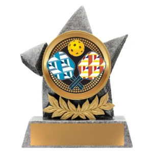 Silver argo - pickleball with resin construction