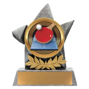 Silver argo - table tennis with resin construction