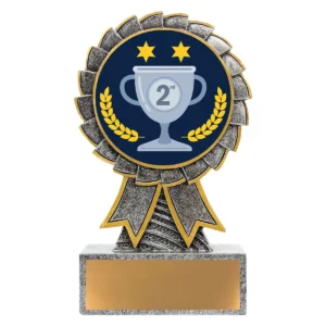 Silver aster - 2nd place with resin construction