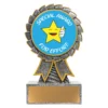 Silver aster - special award with resin construction