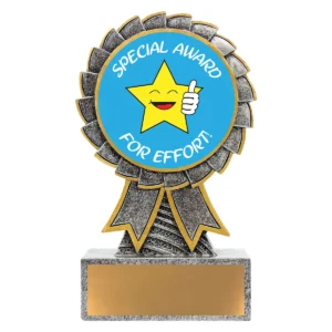 Silver aster - special award with resin construction