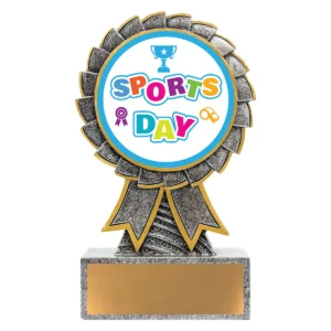 Silver aster - sports day with resin construction