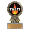 Silver aster - sweat training with resin construction