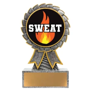 Silver aster - sweat training with resin construction