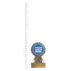 aster trophy next to ruler