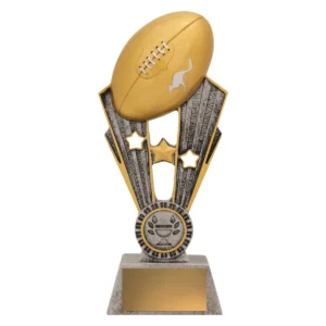 Silver aussie rules fame with resin construction
