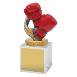 Silver boxing budget crystal with crystal construction