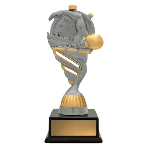 Silver budget silver with plastic construction
