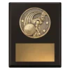 Black challenge plaque - bowling with timber construction