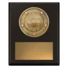 Black challenge plaque - netball with timber construction